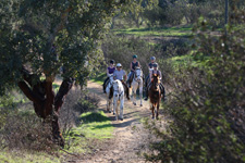 Portugal-Alentejo / Blue Coast-Dolphin Coast Ride